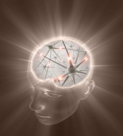 Crystal Ball for 2011 Brain Image