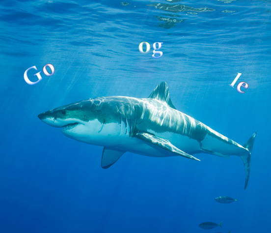 Google jumps shark