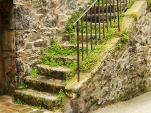 Mossy steps