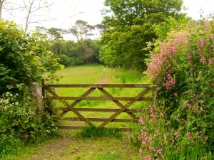 farm gate