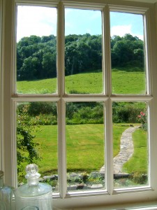 Window with a view