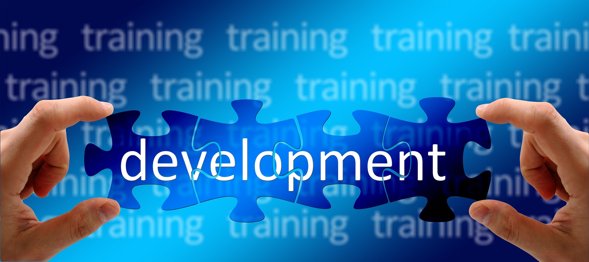 The Role Of Training And Development At